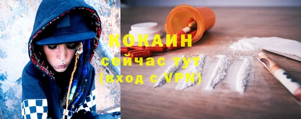 ALPHA PVP Новодвинск