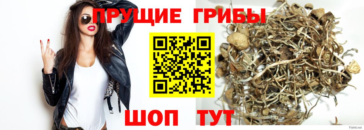 Благовещенск  купить наркотик  Вход с VPN  Галлюциногенные грибы мухоморы 