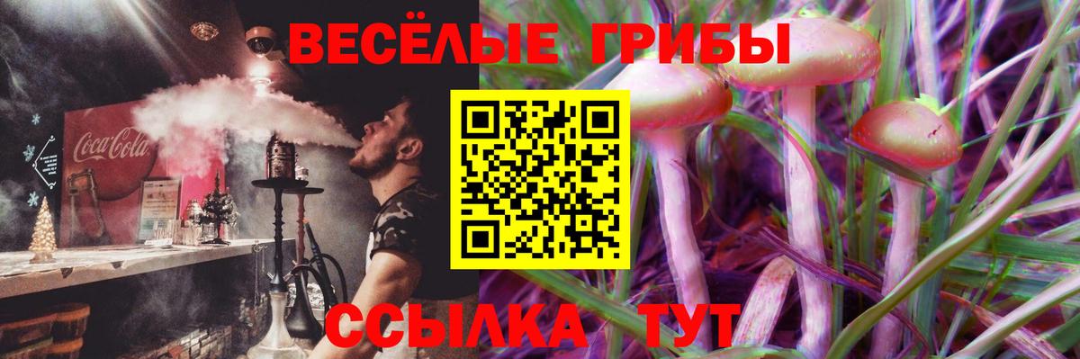 Галлюциногенные грибы Psilocybine cubensis Благовещенск